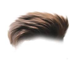 100 Hair Png Download 2020 Dslr Background Images Blur Image Background Photoshop Backgrounds Free