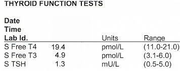 Thyroid Function Tests Endocrinesurgery Net Au