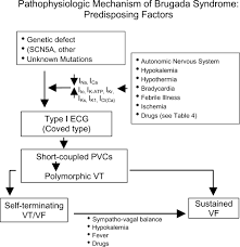 And each hump can store up to 36 kilograms of it that can sustain the camel for weeks or even months. Brugada Syndrome Antzelevitch 2006 Pacing And Clinical Electrophysiology Wiley Online Library