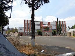 Psiquiatricos El Infierno Invisible Punto Por Punto