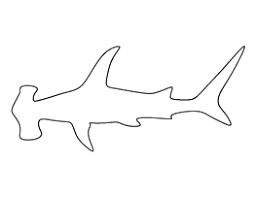 Hello, i have been working on a hammerhead shark skull and jaw set. Hammerhead Shark Skeleton Tattoo Novocom Top