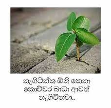 Maybe you would like to learn more about one of these? à¶½à·ƒ à·ƒà¶± à·€à¶¯à¶± Lassana Wadan Hodama De Pamanai Lassana Wadan Page Ekata Like Karanna Facebook