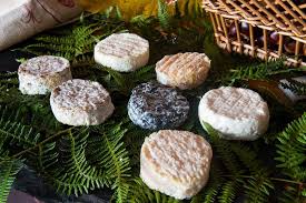 Pelardon Des Cevennes Food Tasting Stuffed Mushrooms