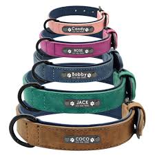 Unfollow genuine leather cat collars to stop getting updates on your ebay feed. Personalised Leather Dog Cat Collar S M L Xl Xxl Engraved Col The Paw Empire