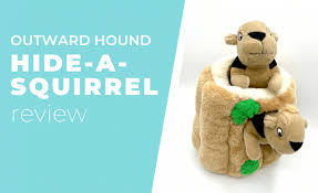 Buy puzzle/maze dog toys and get the best deals at the lowest prices on ebay! Hide A Squirrel Dog Toy Review 2021 Soft Plush Puzzle Toy