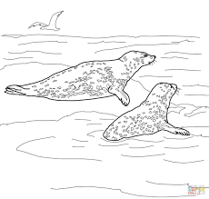 Cas confirmés, mortalité, guérisons, toutes les statistiques Harp Seal Mother And Baby Coloring Page Free Coloring Library