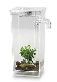 Betta fish do seem to enjoy having items in the tank that they can hide in as well. Best Self Cleaning Fish Tank Have Nature Do All The Work For You Aquariumstoredepot