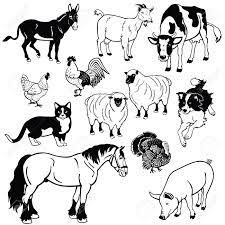 Set Of Most Popular Farm Animals Black And White Vector Pictures Royalty Free Cliparts Vectors And Stock Illustration Image 15260556