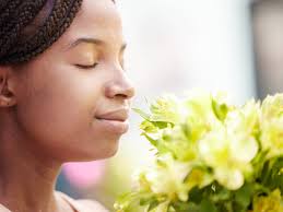 Unveiling 5 Secrets of Spring Allergies: Facts and Combat Strategies