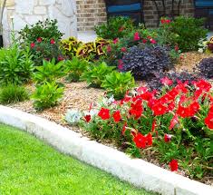 Best to divide plants occasionally to make room for other landscaping plants. Landscape Design Calloway S Nursery