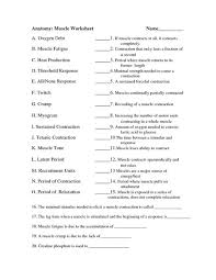 Anatomy And Physiology Muscle Worksheets Human Anatomy And Physiology Anatomy And Physiology Physiology