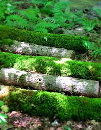 Leaflets Moss Garden Woodland Garden Woodlands Cottage