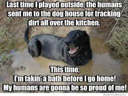 Aww Cute Puppy It S Ok Meme By Evilpixie Pjwd Memedroid