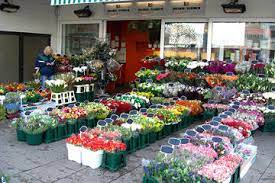 8a in viernheim, ☎ telefon 06204/701270 mit ⌚ öffnungszeiten und anfahrtsplan. Oranje Blumen Frische Holland Blumen Fur Den Rhein Neckar Kreis