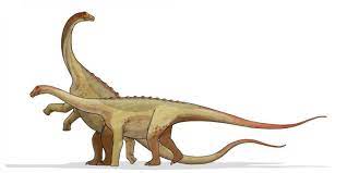 Problema e că nu există penisuri fosilizate de dinozauri. A Fost Descoperit Cel Mai Mare Dinozaur Din Brazilia