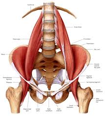 Pin On Pain Solutions