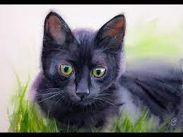 You can use watercolor washes as backgrounds for your composition or in smaller areas like in stripes or filling in a motif. Black Cat In Watercolors Painting Demonstration Youtube