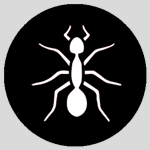 ¡conoce las mejores atracciones de downers grove! Trusted Pest Control 600 5 Star Reviews Anderson Pest Solutions