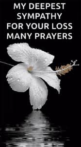 Check spelling or type a new query. Condolence Gifs Tenor