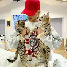 Pin By Vanessa On Haylie Bieber Hailey Justin Hailey Hailey Baldwin