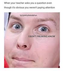 Daniel Howell and Phil Lester