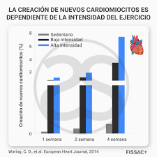 — es un edificio nuevo de ocho pisos con ascensor y portero automático. Fissac Fisiologia Salud Y Actividad Fisica Ejercicio Fisico Y Regeneracion Cardiaca El Ejercicio Se Propone Como Un Moldeador Del Corazon Ya Que Es Capaz De Inducir Una Hipertrofia Fisiologica