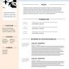 Exemples de curriculum vitae word. 1