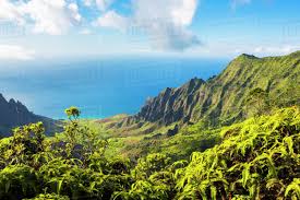 Maybe you would like to learn more about one of these? View Of Kalalau Valley From Kokee Lookout Kokee Kauai Hawaii United States Of America Stock Photo Dissolve