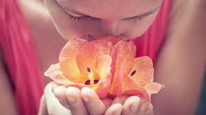 Flowers for forgiveness and love. Self Forgiveness Self Love Note Self Love Notes Candice Wu