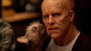 #TheMoment Deadpool's leading dog won top prize at the canine Oscars