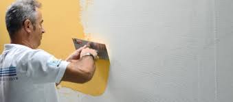 Image result for Monosis