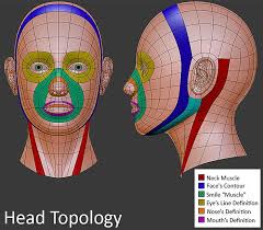 Female Head Base Mesh Face Topology Topology Maya Modeling