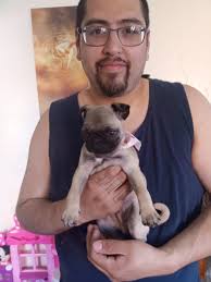 We got a puppy 4 weeks ago and since the. my son has had a persistent  cough. Took him to the pedi and they said it may be allergies and give him