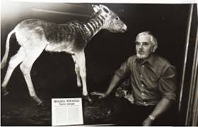 Resurrection Conservation The Return Of The Extinct In Nature Conservation In Southern Africa