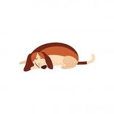 Cute Beagle Dog Sleeping On The Floor Isolated Cartoon Pet Animal With Eyes Clo Ad Sleeping Floor Dog C Cute Beagles Sleeping Dogs Sleeping Drawing Santa visits and gini gets to see him going through the fireplace. pinterest