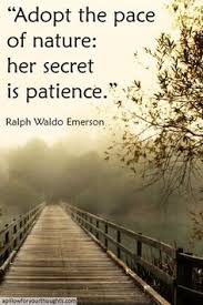 Adopt The Pace Of Nature Her Secret Is Patience Ralph Waldo Emerson Inspiration Quote Maybe Patie Emerson Quotes Nature Quotes Ralph Waldo Emerson Quotes