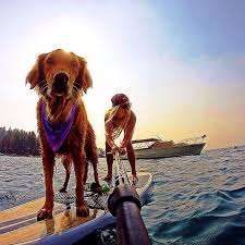 Stingrayreef Surfing Sup Surf Paddle Boarding
