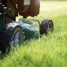 Lawns reflect a lot on people's homes and lifestyles, so it's incredibly important that your lawn care service company is a. Is Trugreen Worth It A National Company Vs Diy Vs Local Lawn Care Green Lawn Fertilizing