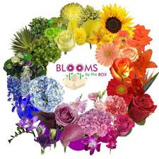 Designing Fresh Flower Arrangements Working The Flower Color Wheel Blooms By The Box All component parts of a floral composition should harmonize with one another.