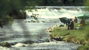 Image result for images swim weir
