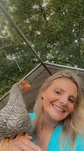 Is it okay for a rooster to stay near a chicken coop?