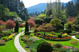 We did not find results for: Spring Garden Insights The Butchart Gardens