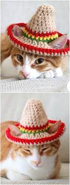 Crochet Cat Hat Pattern For Cat Ideas The Whoot Cat Hat Pattern Crochet Cat Hat Crochet Cat Pattern