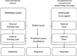 Image result for training effect schema