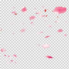 Cherry Petals Png Cliparts For Free Download Uihere Yeouido cherry blossom cherry blossom festival cherry blossom front cherry blossom wreath cherry blossom ten mile run cherry blossom ending perfect cherry blossom. cherry petals png cliparts for free