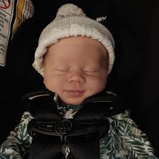 Toddlers, dinosaurs, and race horses! Oh my!