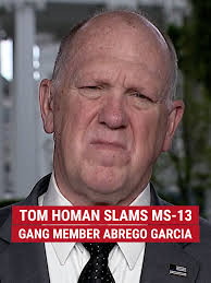"He's a public safety threat. He's a gang member. He's a designated  terrorist. We should not be bringing any of those people back to the United  States." Tom Homan rips into sympathizers who say Kilmar ...