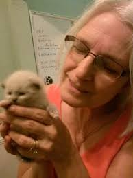 Beth E. Paolini Obituary