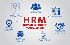 Hasil Gambar Untuk Human Resource Management Manajemen Bisnis Industri