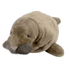 15 Cute Ways To Let Everyone Know You Love Manatees Giant Stuffed Animals Monkey Stuffed Animal Cute Stuffed Animals